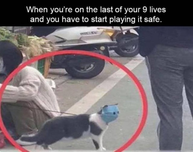 Random Funny Memes (65 pics)