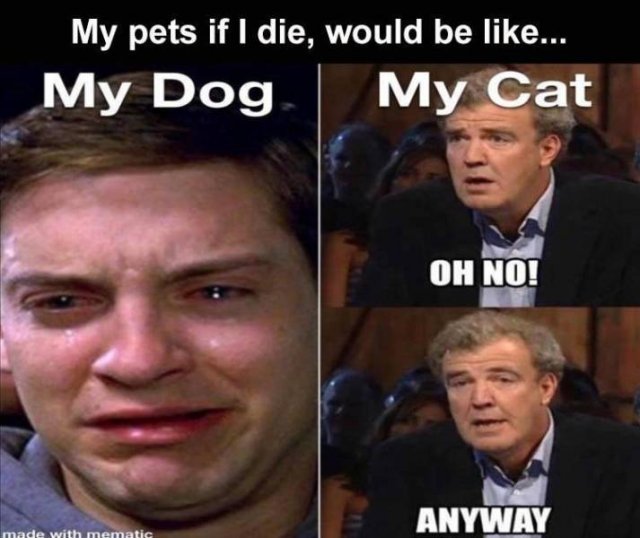 Random Funny Memes (65 pics)