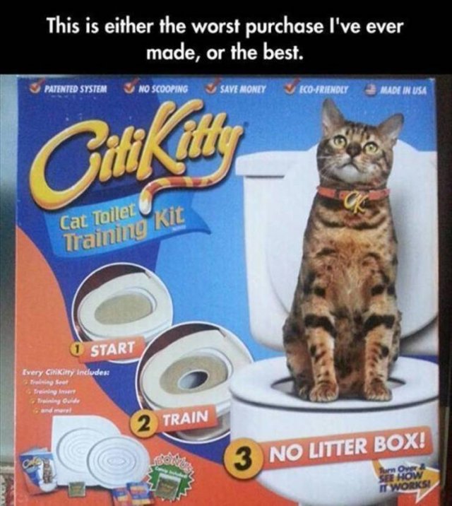 Random Funny Memes (65 pics)
