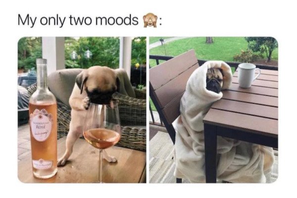 So True (37 pics)