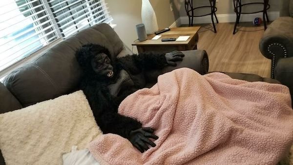 Living With Children (30 pics)