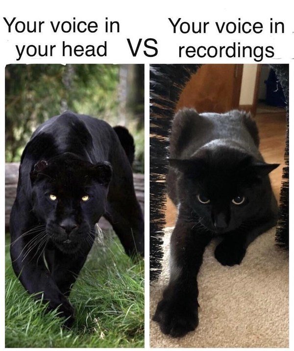So True (37 pics)