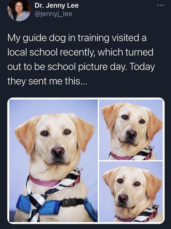 Wholesome Stories (24 pics)