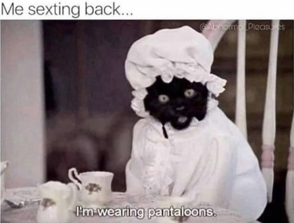So True (37 pics)