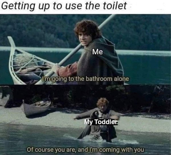 So True (37 pics)