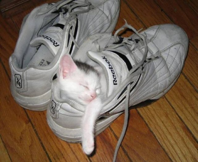 Acid Picdump 1 (89 pics)