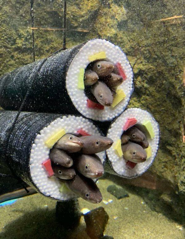 Acid Picdump 1 (89 pics)