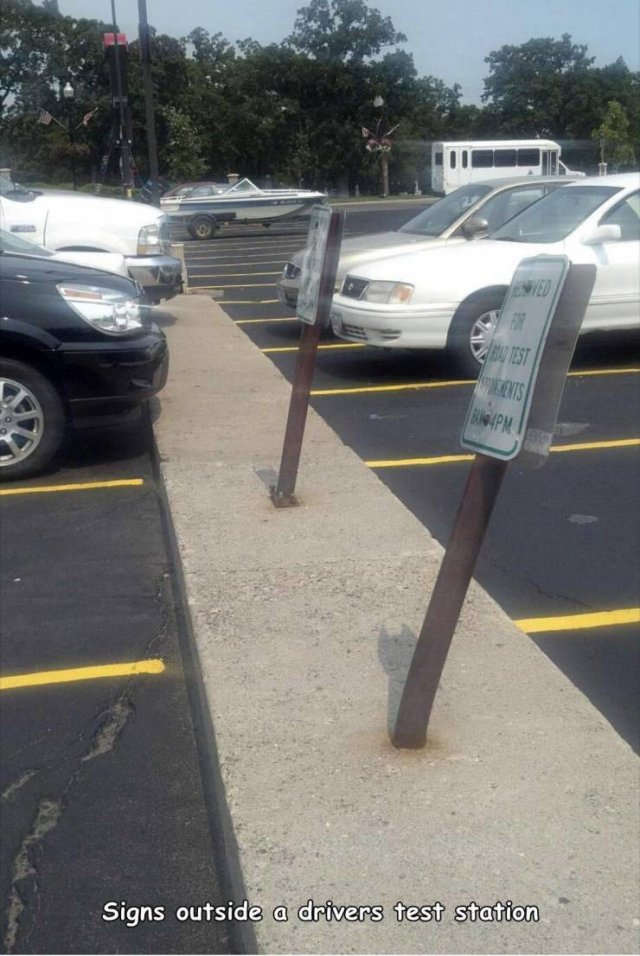 Acid Picdump 1 (89 pics)