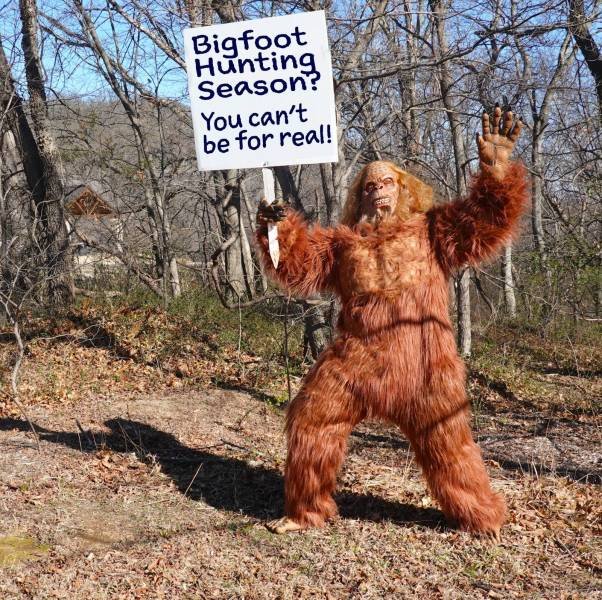 Acid Picdump 1 (89 pics)