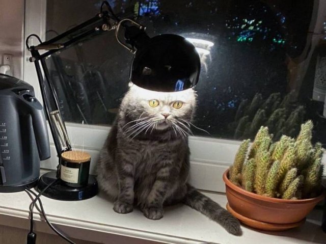 Acid Picdump 1 (89 pics)