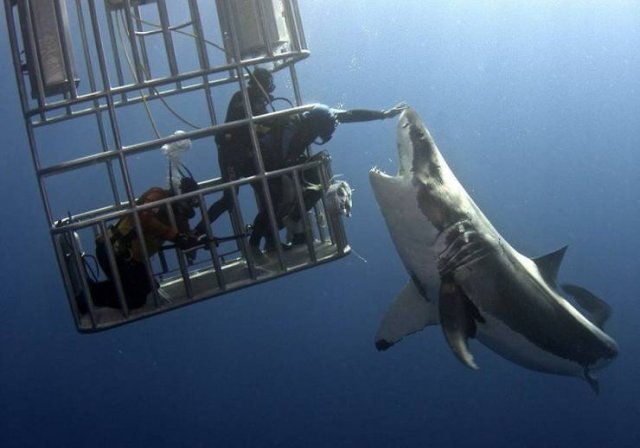 Acid Picdump 1 (89 pics)
