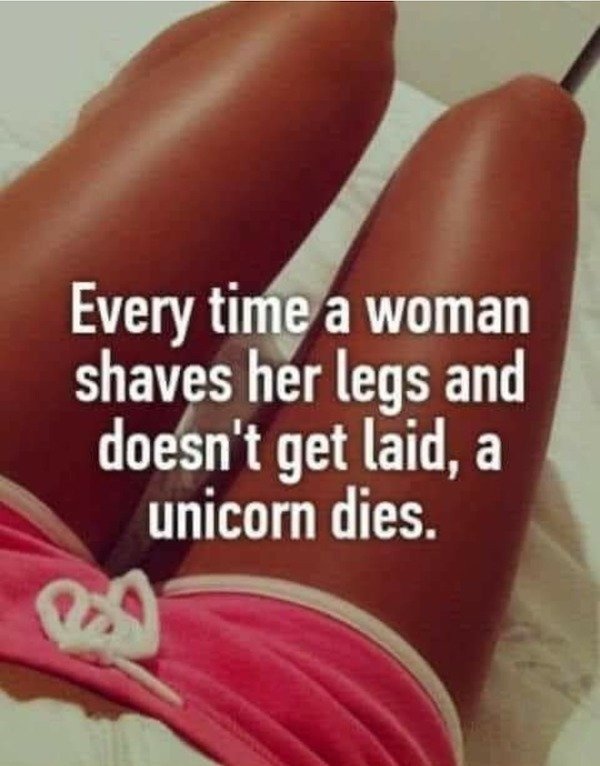 Memes And Tweets For Women (29 pics)