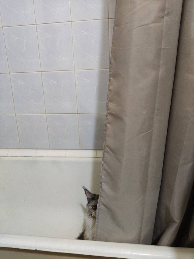 Acid Picdump 1 (96 pics)