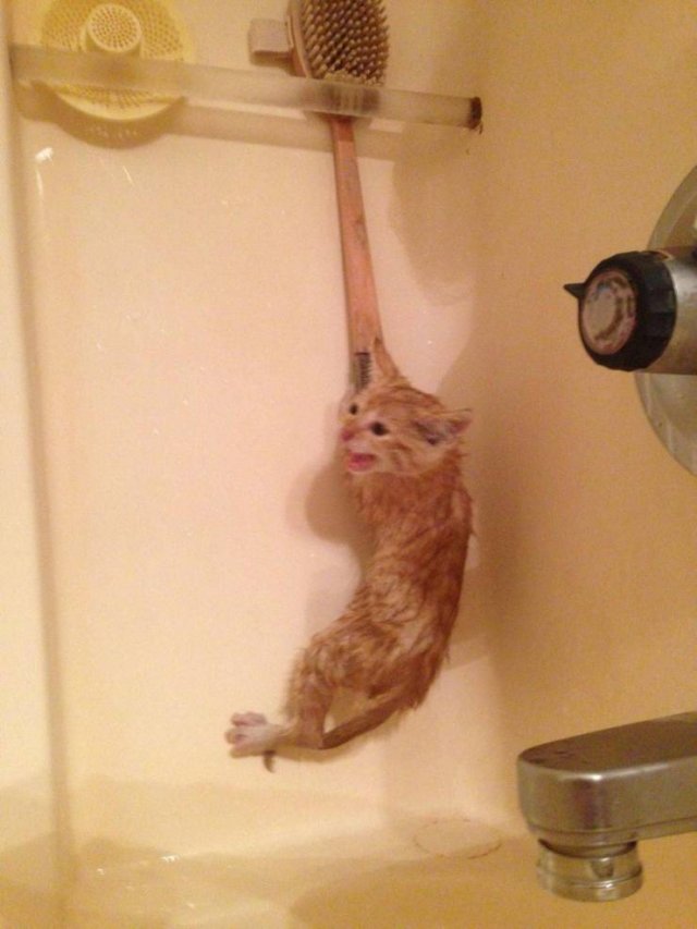 Acid Picdump 1 (96 pics)