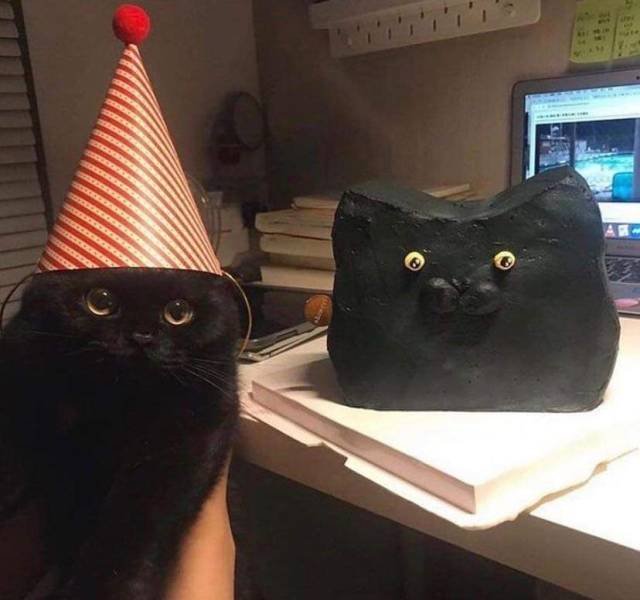 Acid Picdump 1 (96 pics)