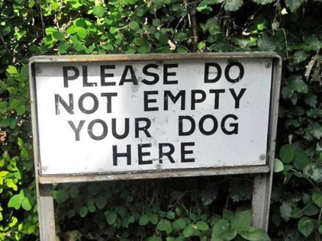 Acid Picdump 1 (96 pics)