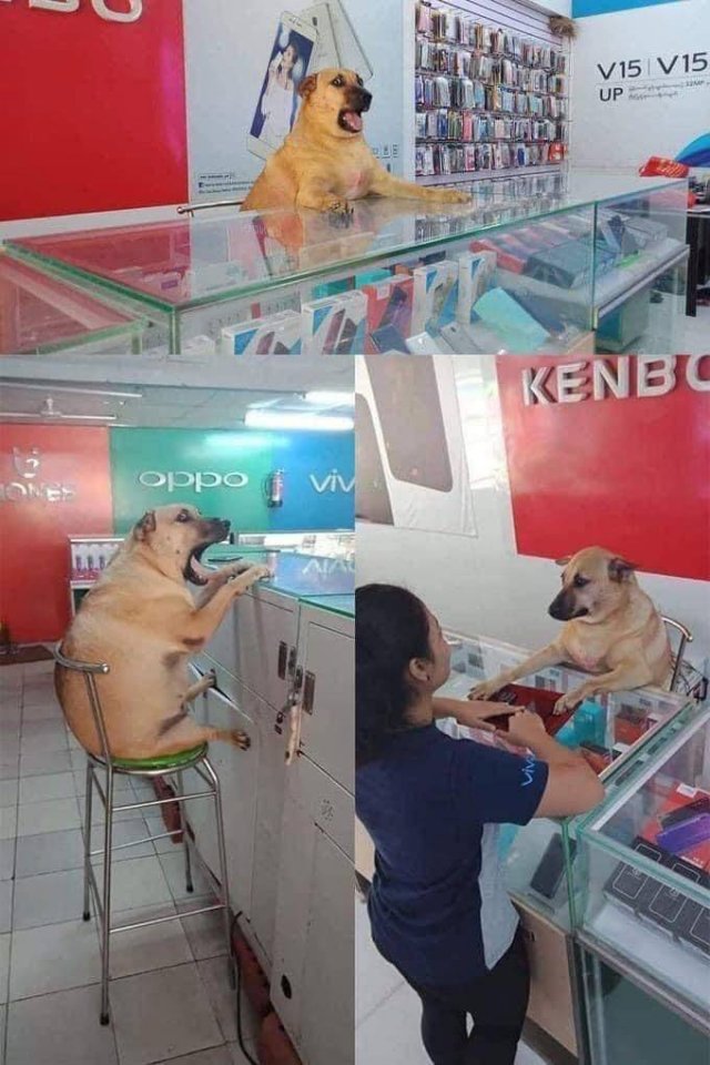 Acid Picdump 1 (96 pics)