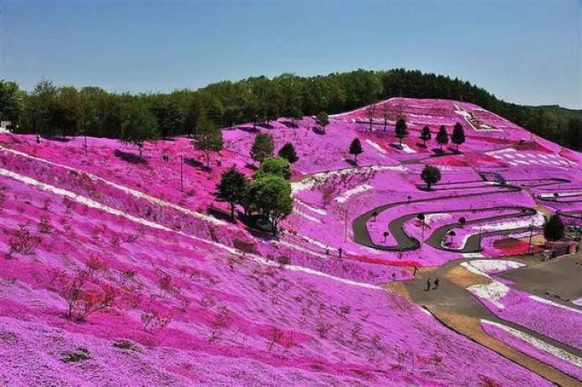 Acid Picdump 1 (96 pics)