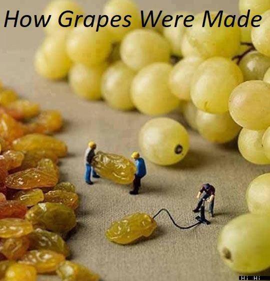 Acid Picdump 1 (96 pics)