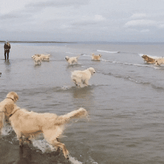 Acid Gifdump, January 25 (25 gifs)
