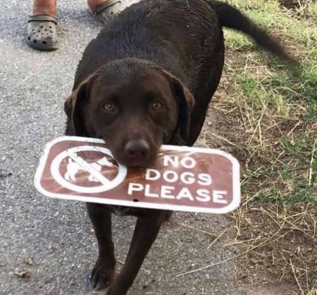 Acid Picdump 1 (96 pics)