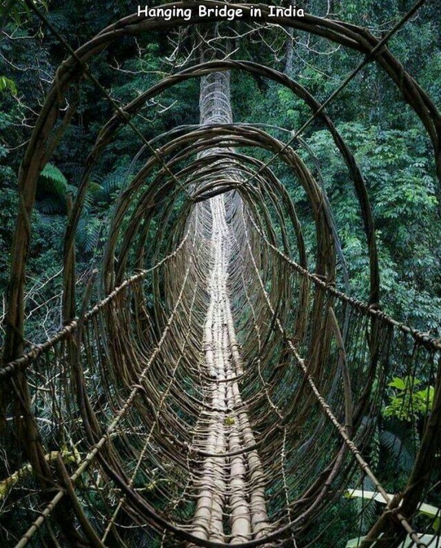 Acid Picdump 1 (96 pics)
