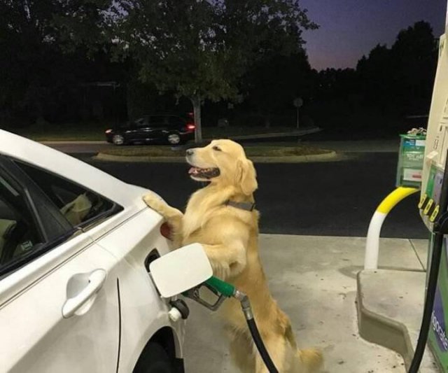 Acid Picdump 1 (90 pics)