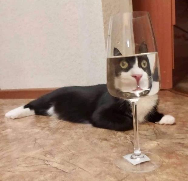 Acid Picdump 1 (90 pics)