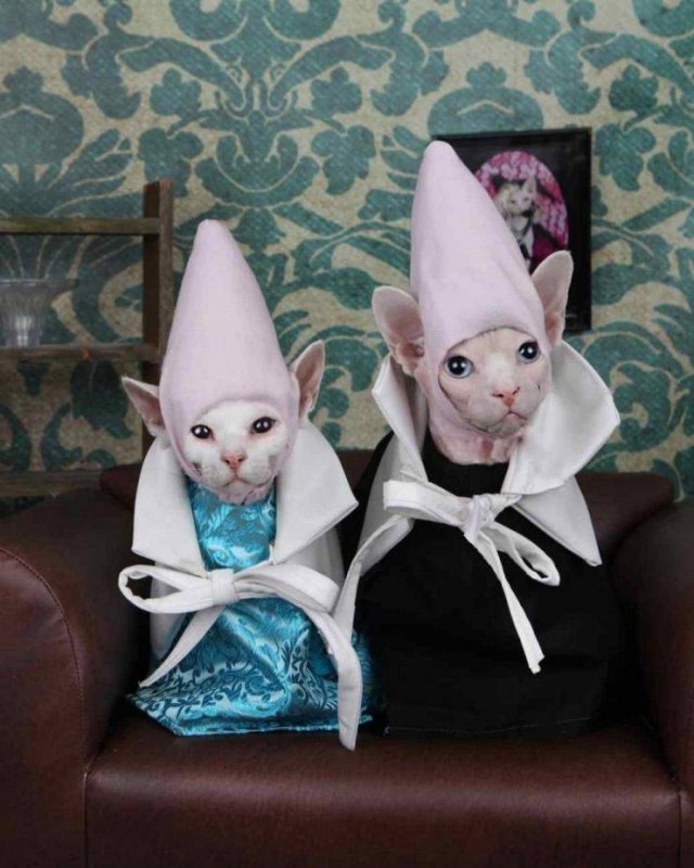 Acid Picdump 1 (90 pics)