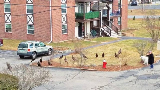 Acid Picdump 1 (90 pics)