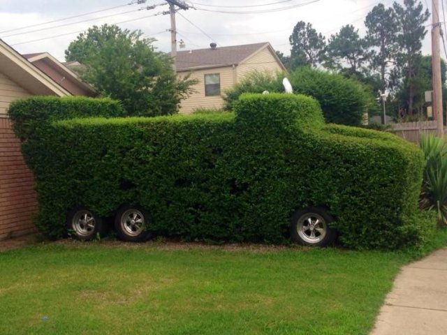 Acid Picdump 1 (90 pics)