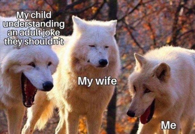 Random Funny Memes (68 pics)
