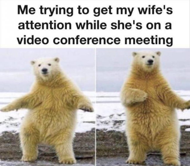 Random Funny Memes (68 pics)