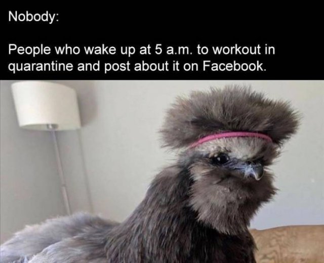 Random Funny Memes (68 pics)