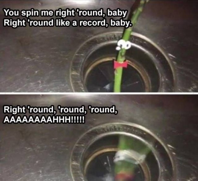 Random Funny Memes (68 pics)