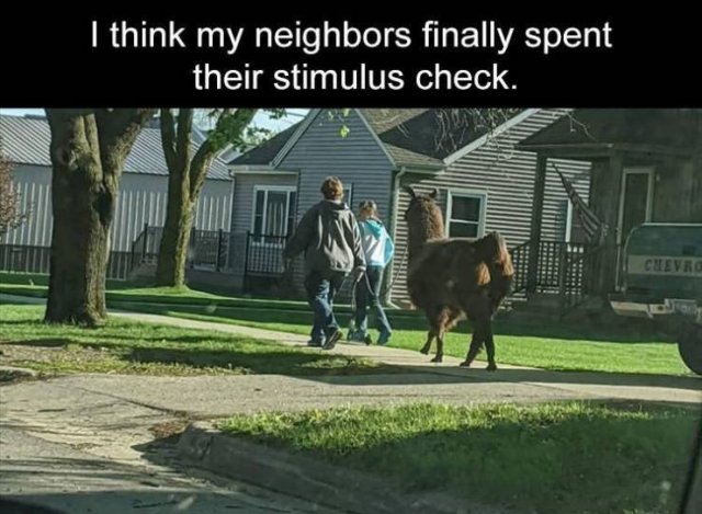 Random Funny Memes (68 pics)