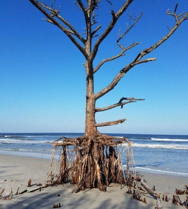 Awesome Photos (45 pics)