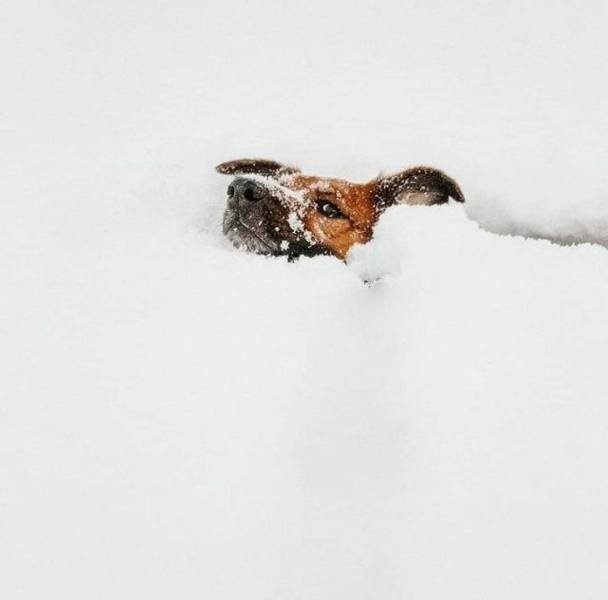Awesome Photos (45 pics)