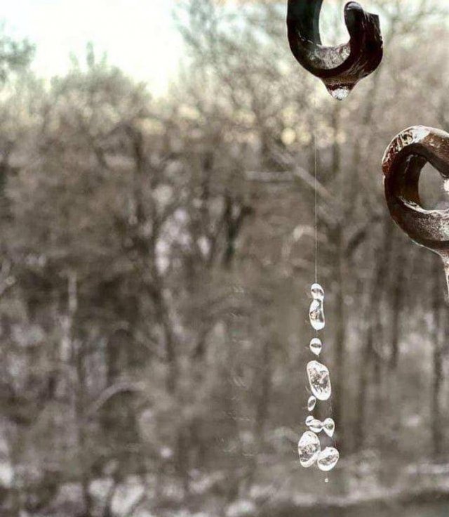 Awesome Photos (45 pics)
