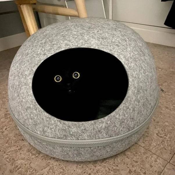 Acid Picdump 1 (54 pics)