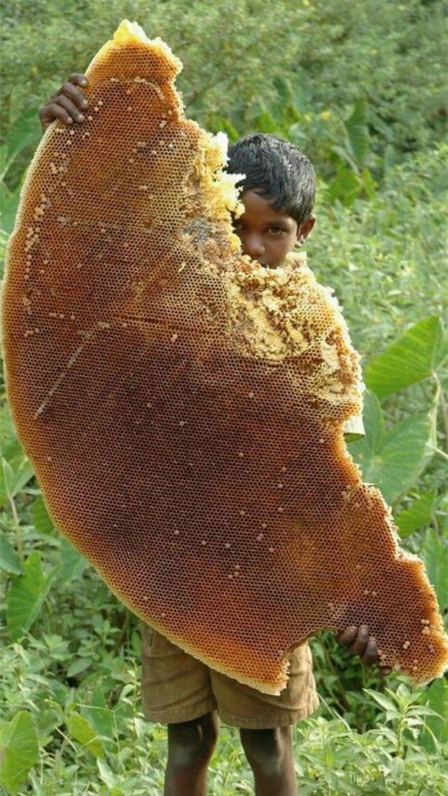 Acid Picdump 1 (54 pics)