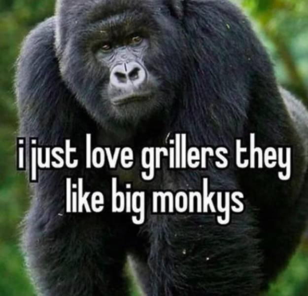 What's Wrong With These People? (28 pics)