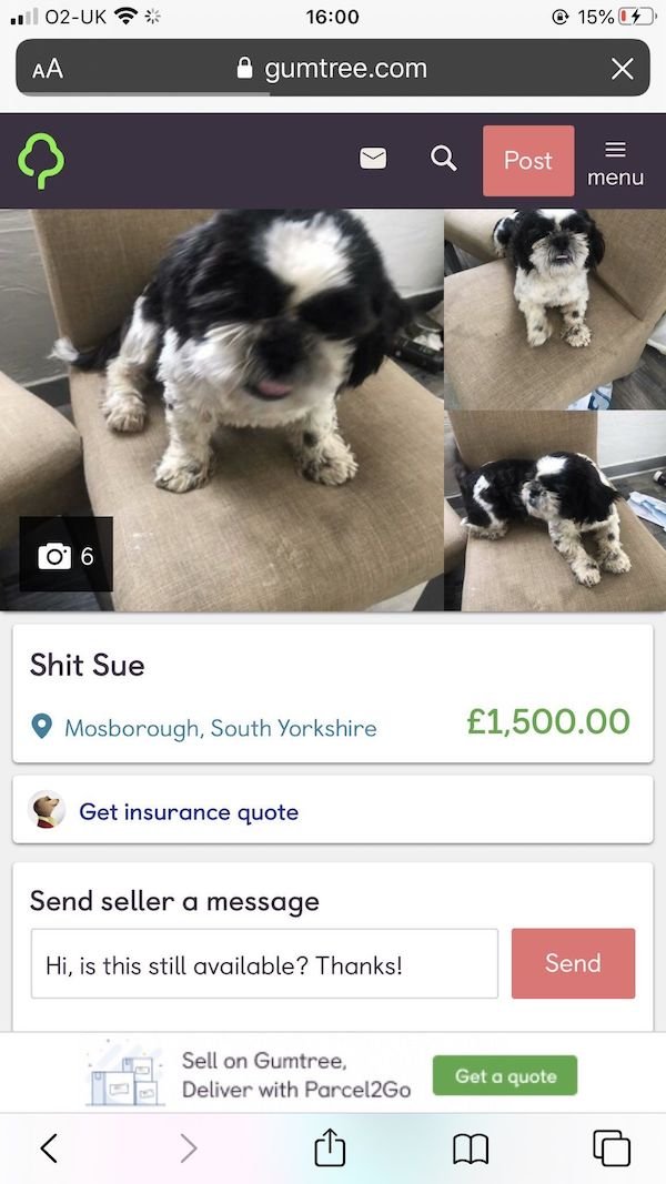 These People Know How To Sell (28 pics)