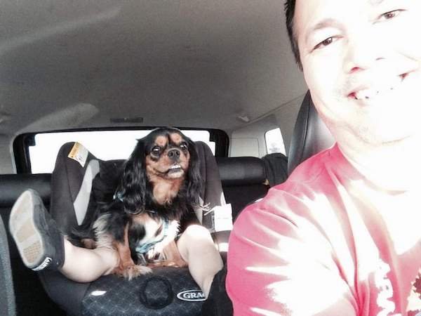 Hilarious Animals (56 pics)