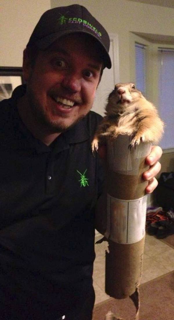 Hilarious Animals (56 pics)