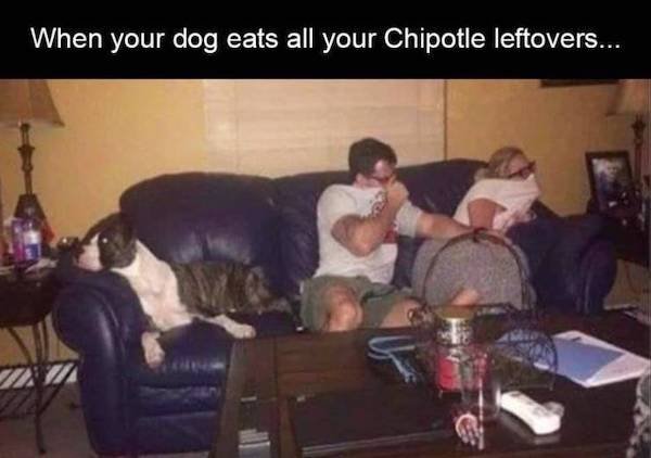 Hilarious Animals (56 pics)