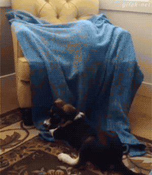 Acid Gifdump, January 29 (25 gifs)