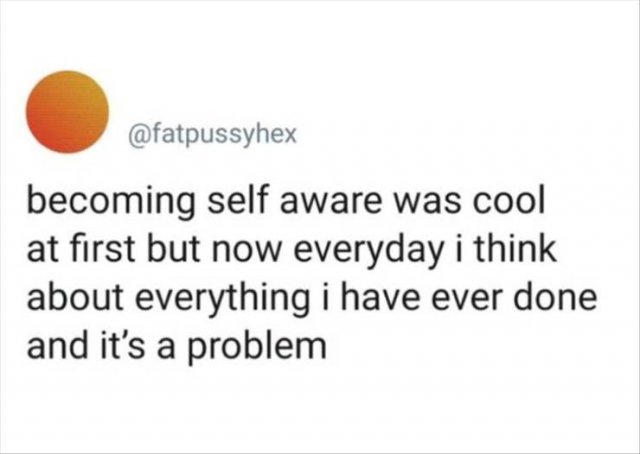 Funny Tweets (50 pics)