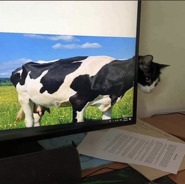Almost Nailed It (36 pics)