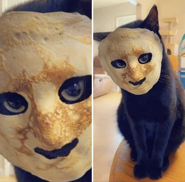 Almost Nailed It (36 pics)